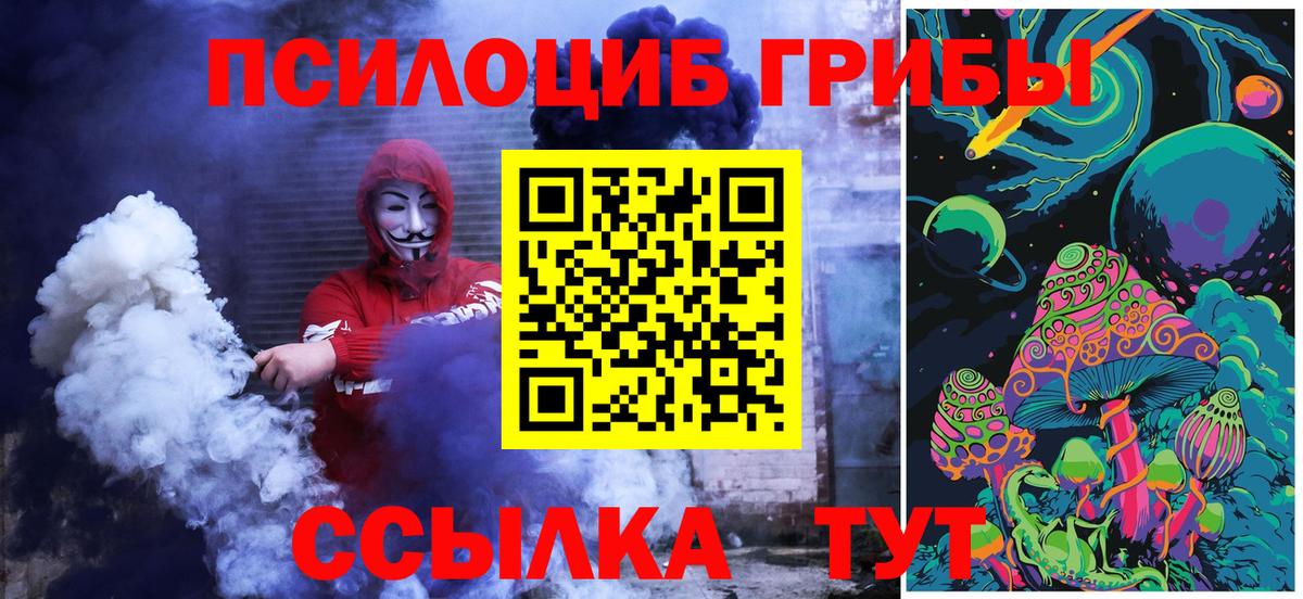 Псилоцибиновые грибы мицелий Дивногорск