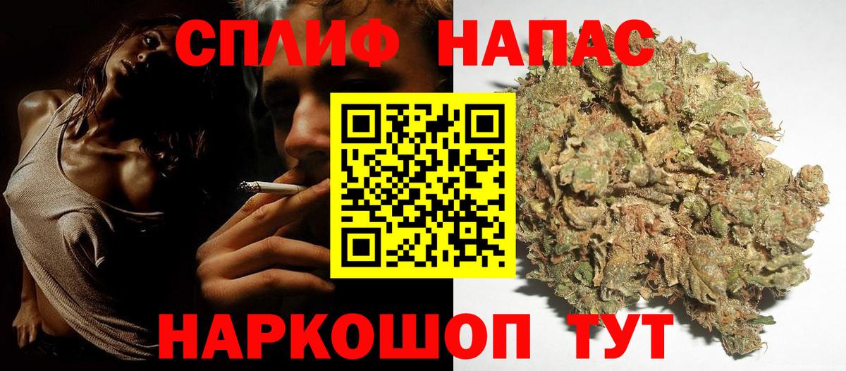 Дивногорск  Бошки Шишки план  Бошки Шишки THC 21%  МАРИХУАНА тримм  Вход с VPN 